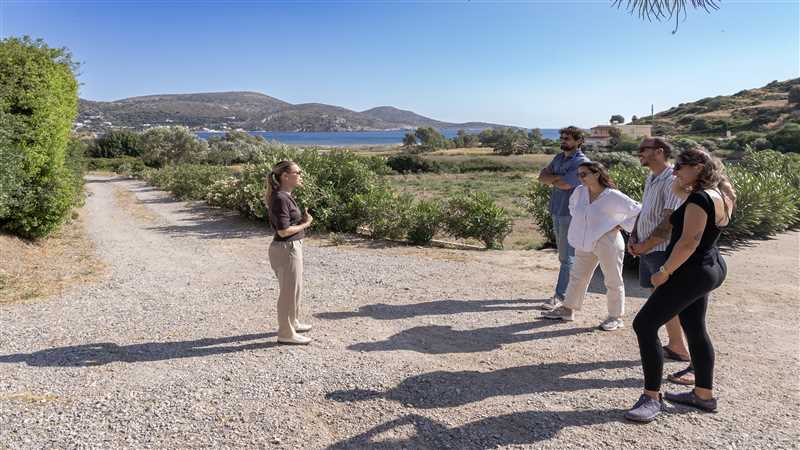 Morning tour at the olive grove