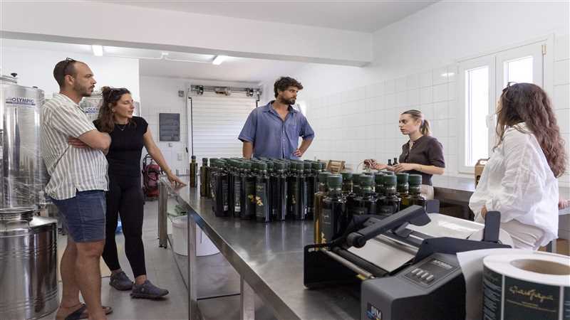 Guests during olive tour